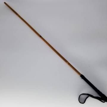 Spanking Cane