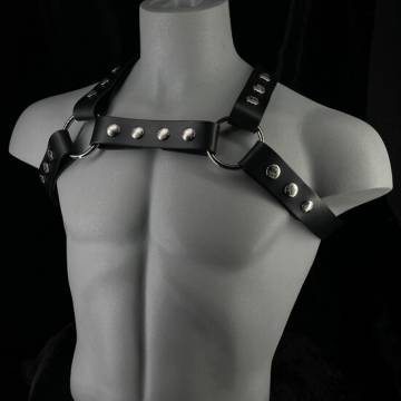 Latigo Infinity X Harness