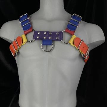 Rainbow Pride Garment Leather Harness
