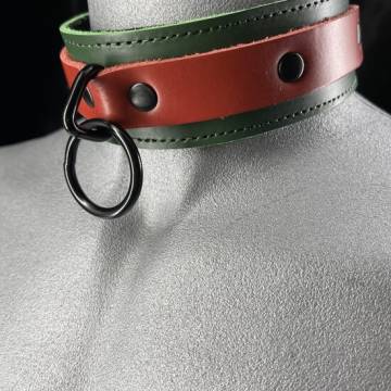 Two Tone Elegant collar