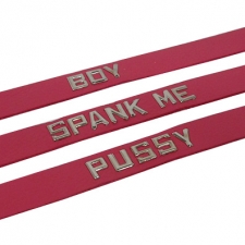 Collar With SPANK ME ID Collar With SPANK ME ID