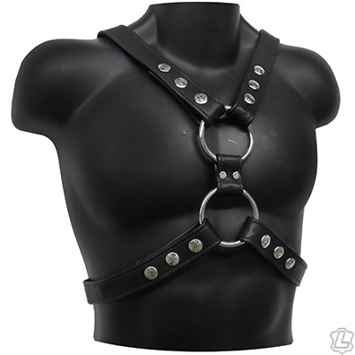 Garment Leather Scottish Harness