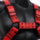 Garment Leather Bulldog Harness